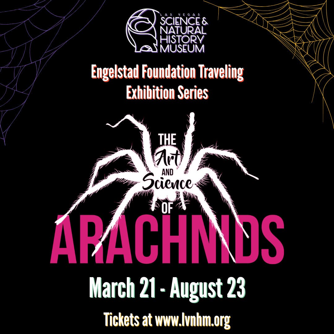 Art & Science of Arachnids Traveling Exhibit