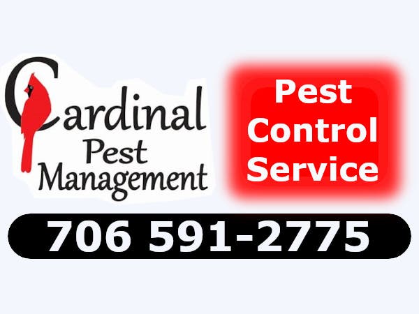 Cardinal Pest Management 