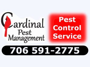 Cardinal Pest Management 