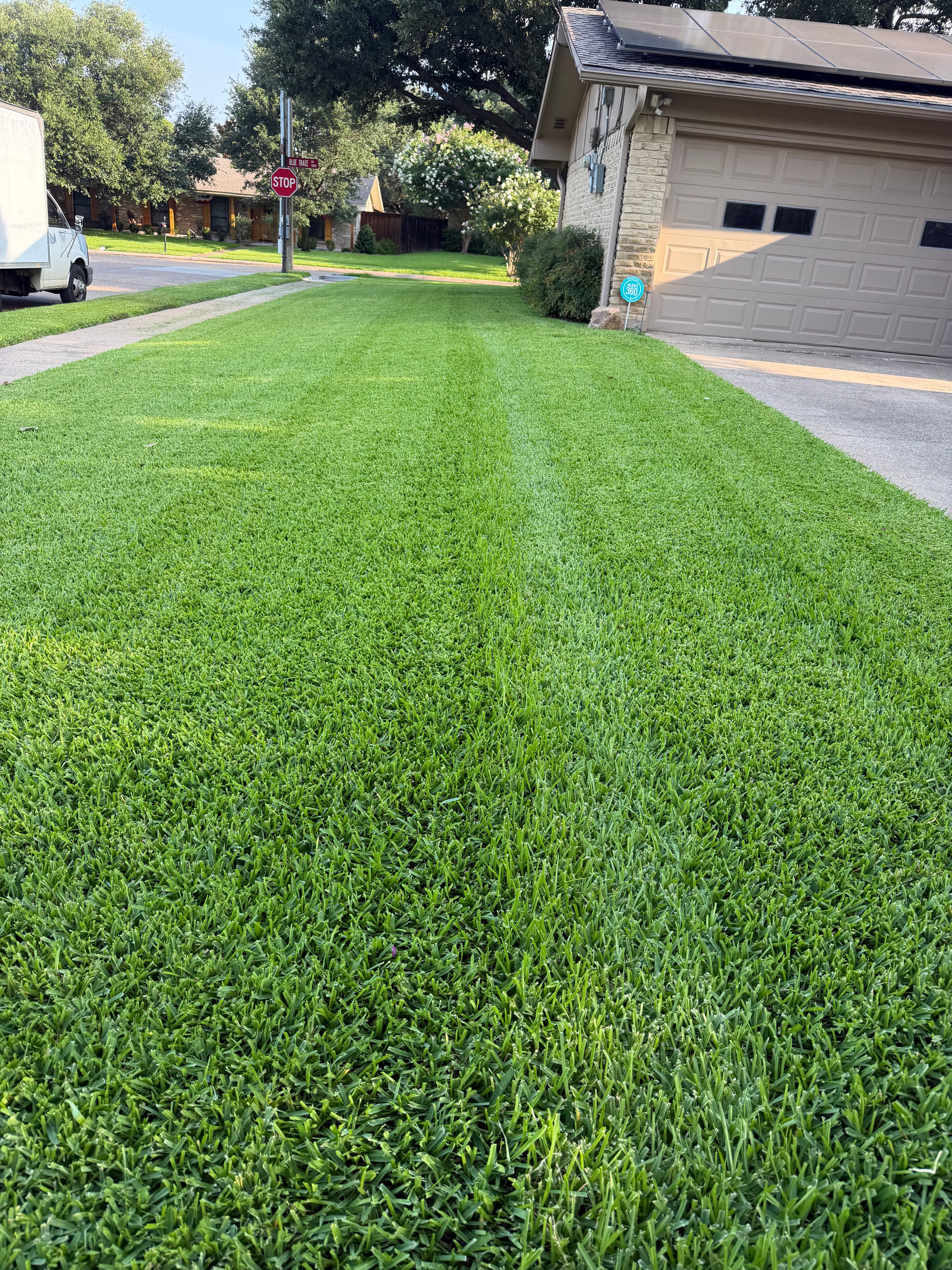 Why Carrollton Homeowners Are More Selective About Lawn Mowing Than Ever