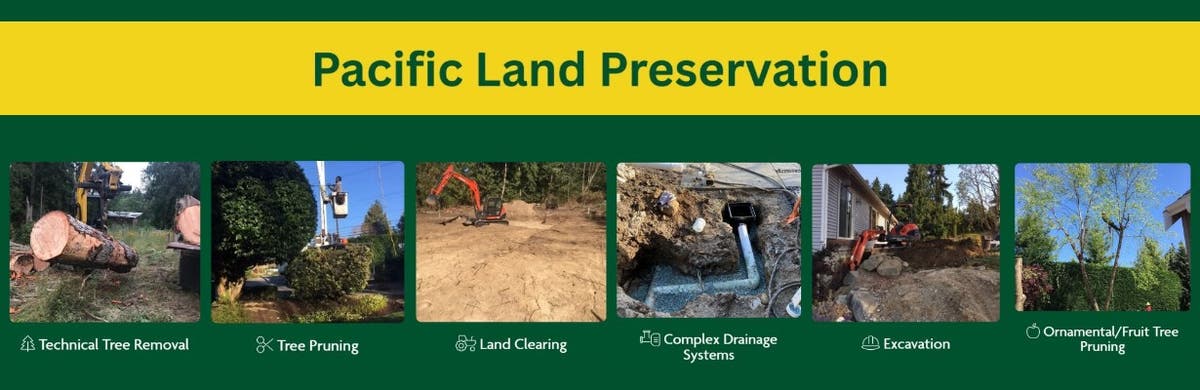 PLP Tree Service Marysville