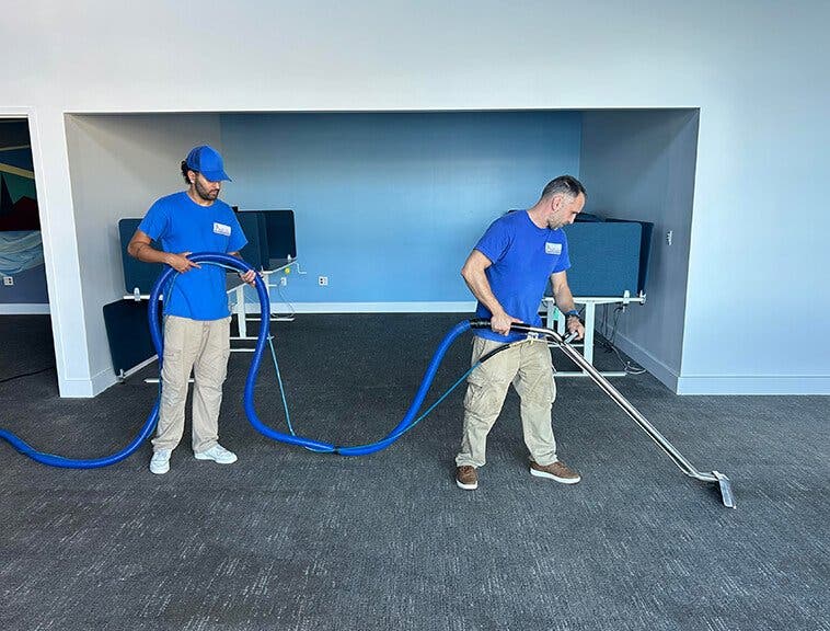 Spring Carpet Cleaning: What Bay Area Residents Should Know as Allergy Season Begins