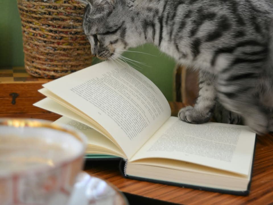 Bajah's Book Club