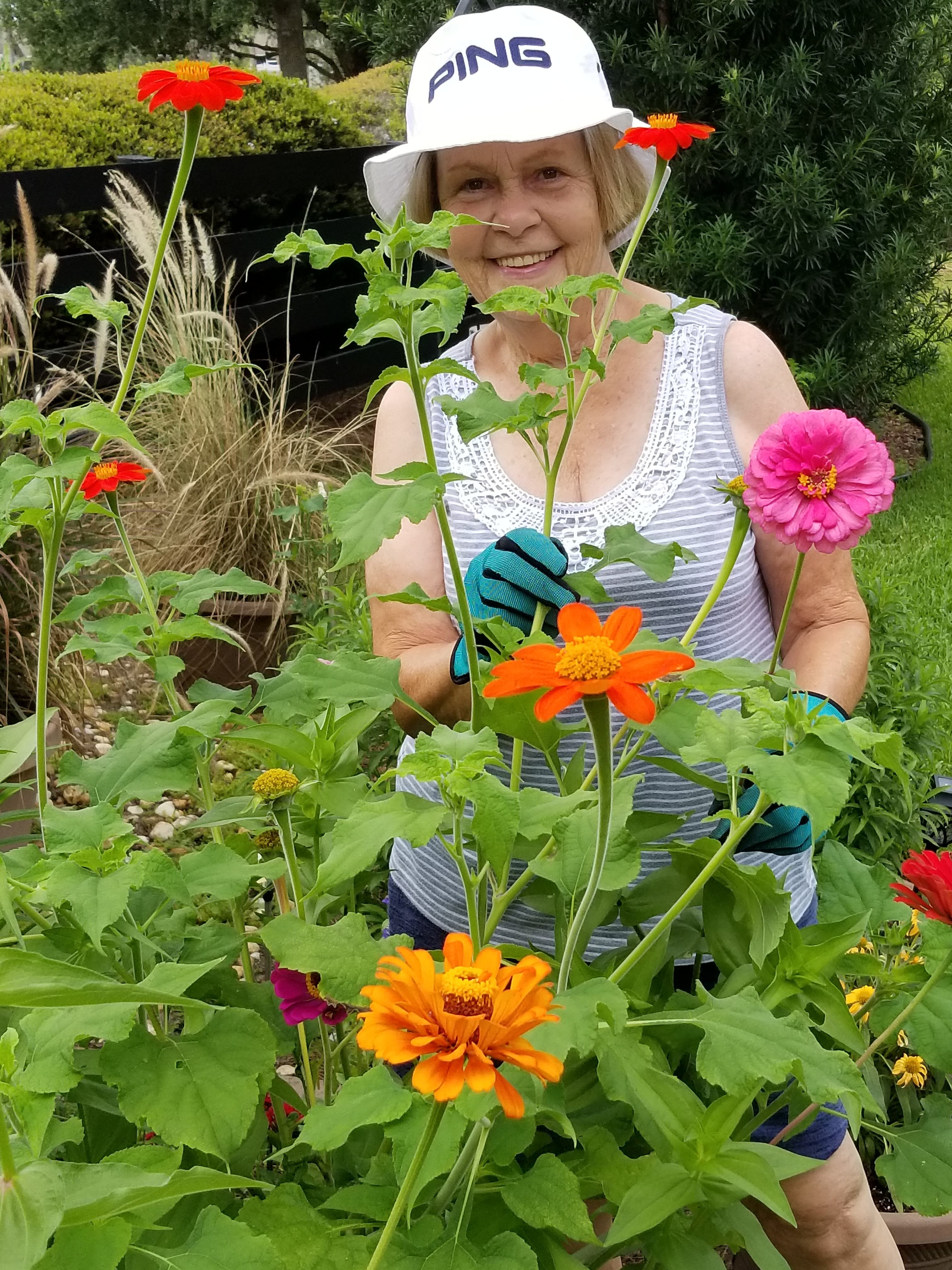 Join the Pollinator Pathway!