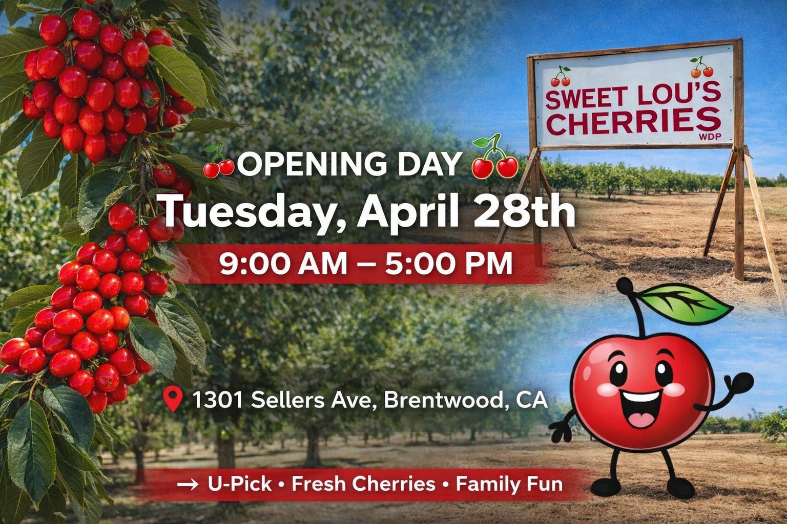 🍒 Sweet Lou’s Cherries Opening Day – U-Pick is Back!