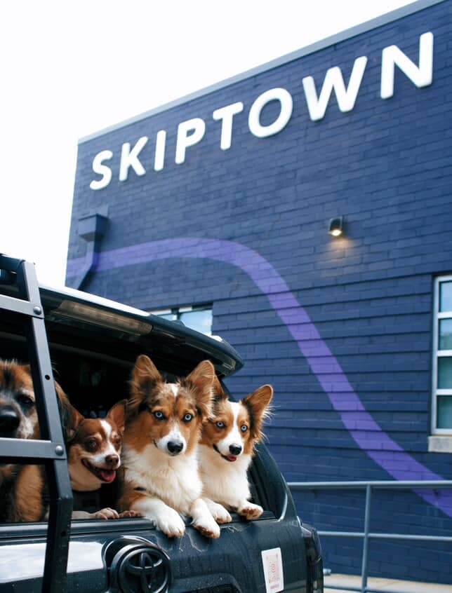 Skiptown Denver to Host Skiptoberfest: A Dog-Friendly Oktoberfest Celebration