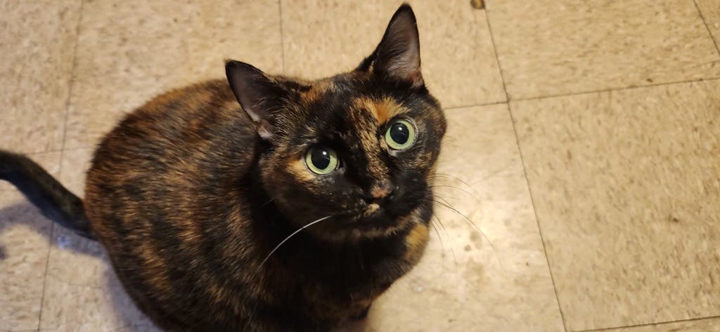 Would You Be Willing to Help?