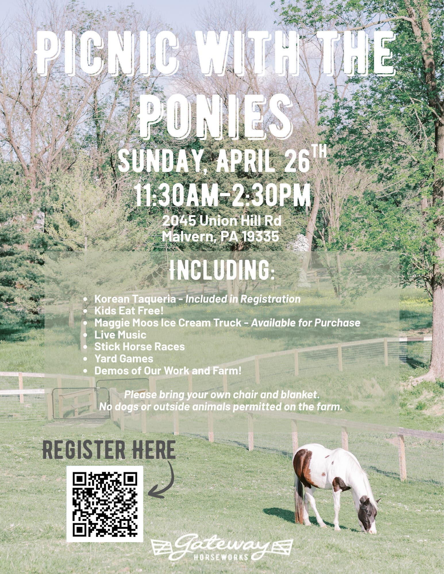 Picnic with the Ponies