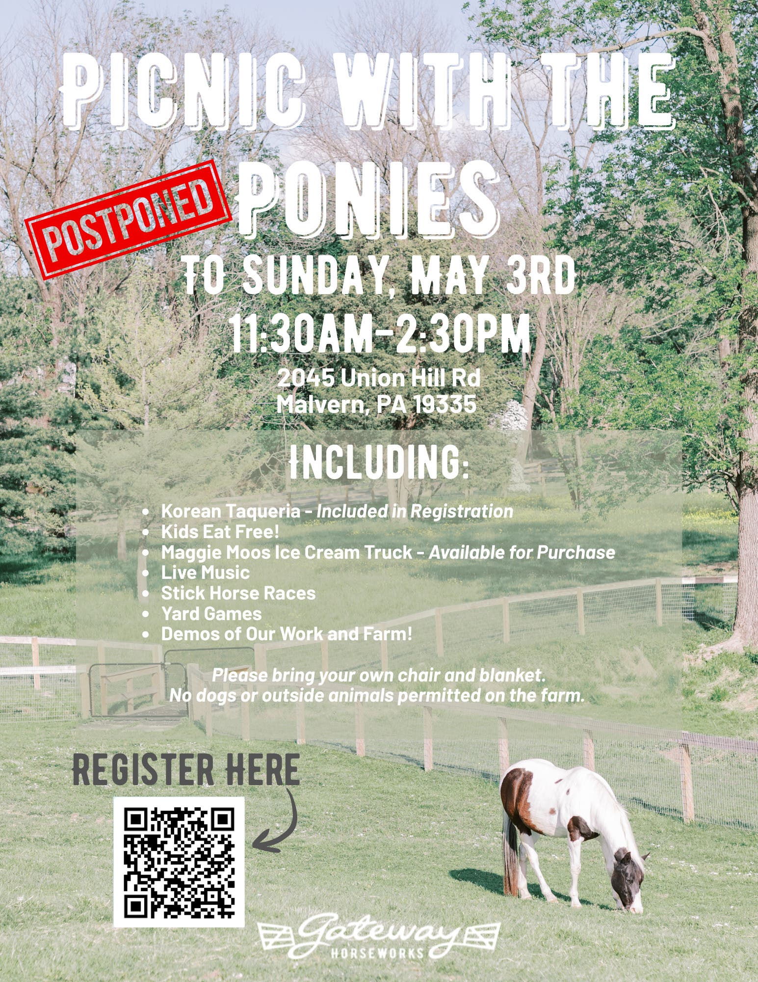 Picnic with the Ponies