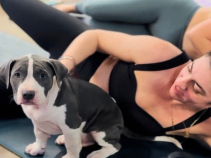 Puppies & Pilates
