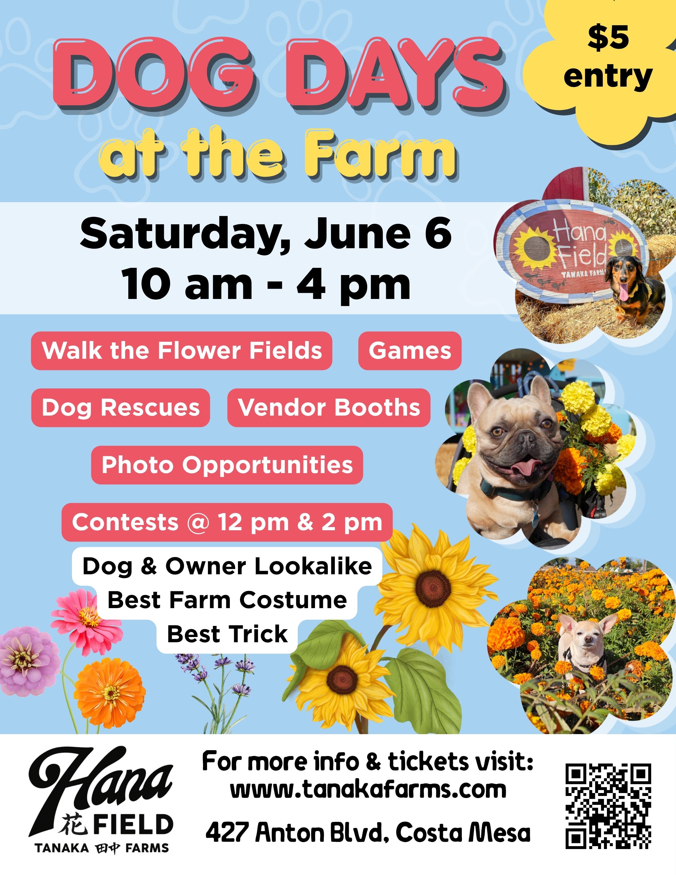 Dog Days at the Farm