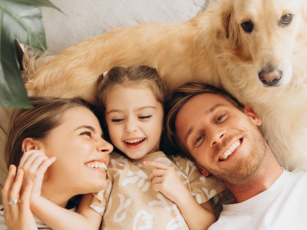 Green Heat NJ.Com - Pest Control