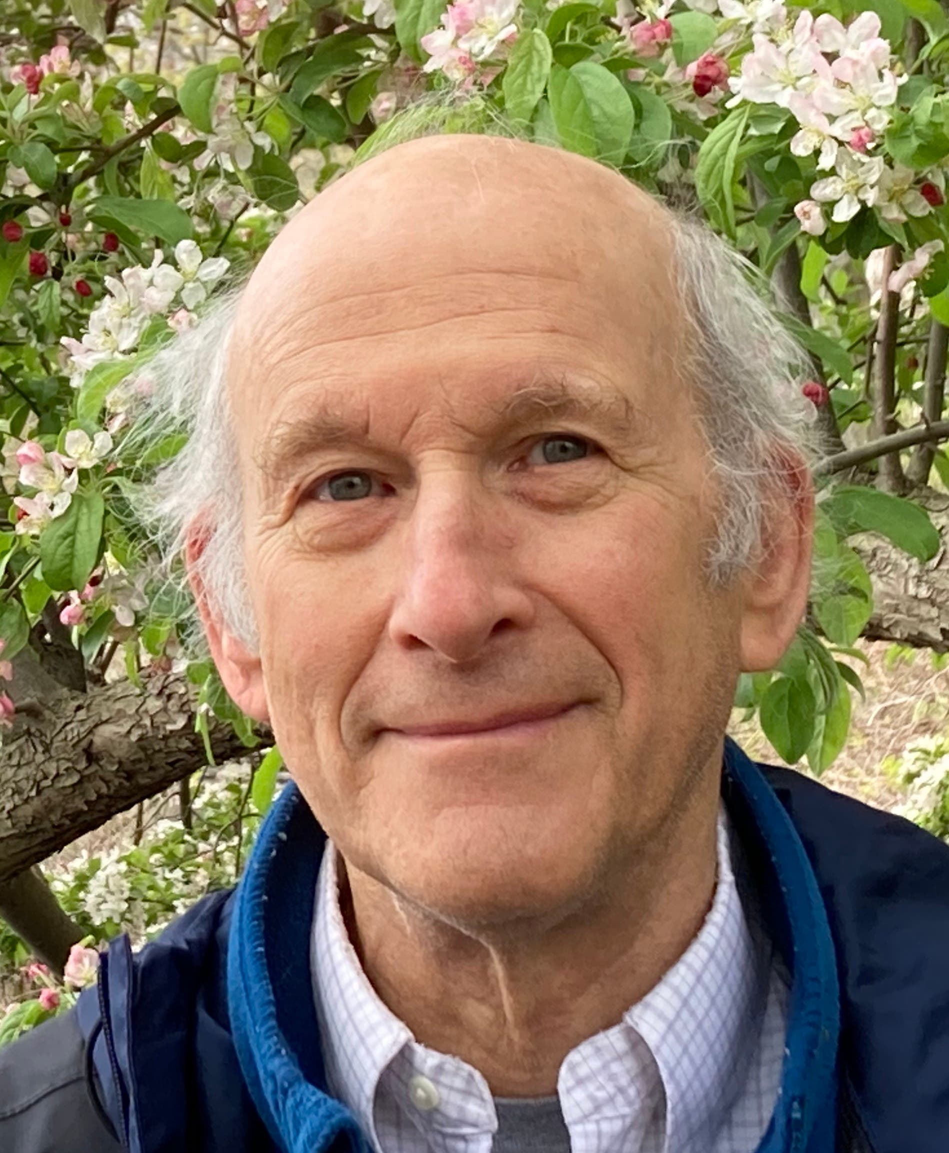 Stroll Hammond Woods with Noted Plant Ecologist