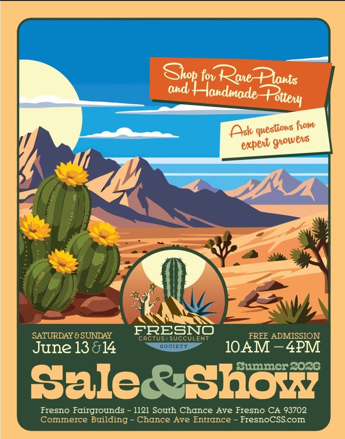 Cactus Sale and pottery
