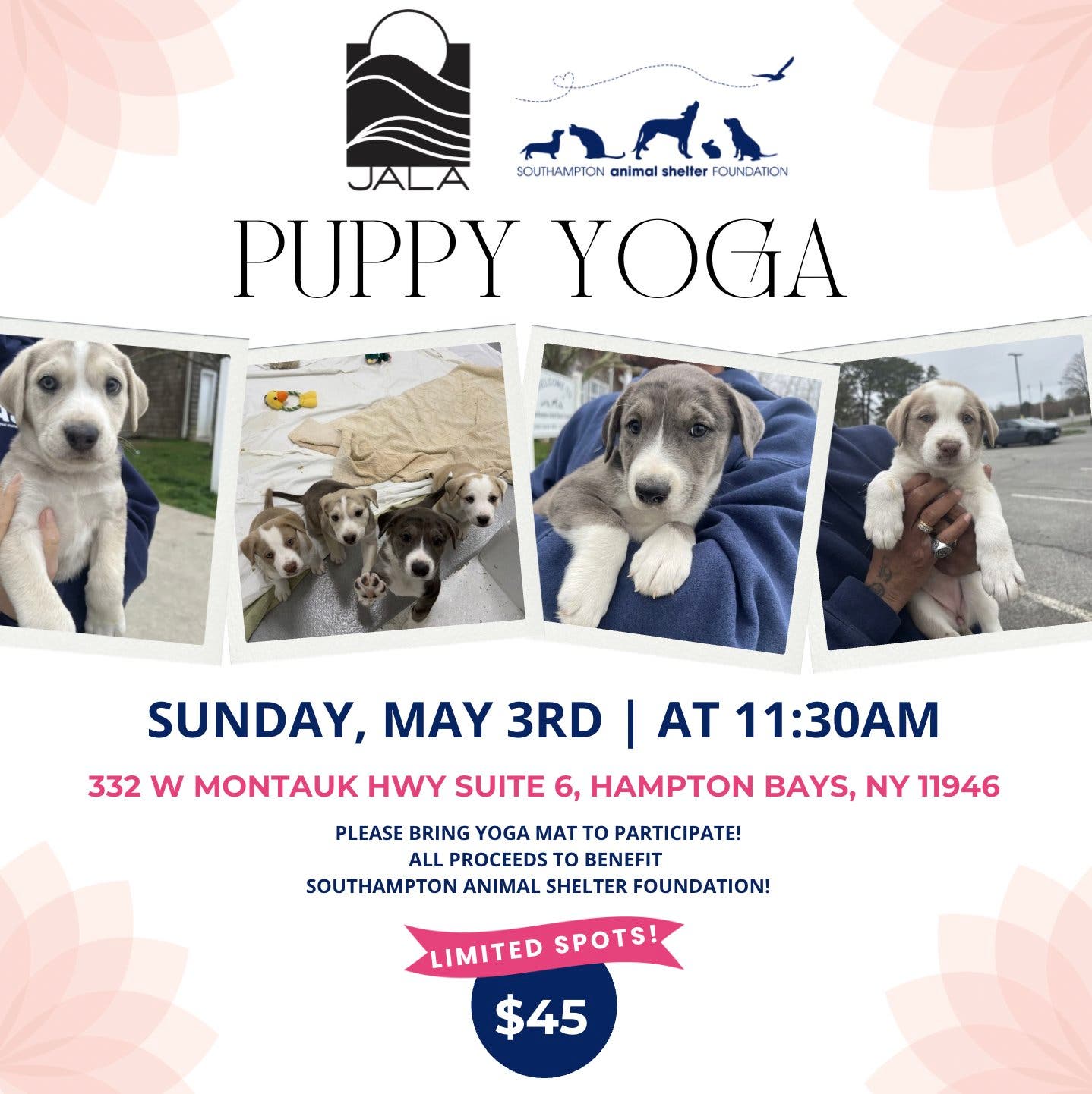 Puppy Yoga 