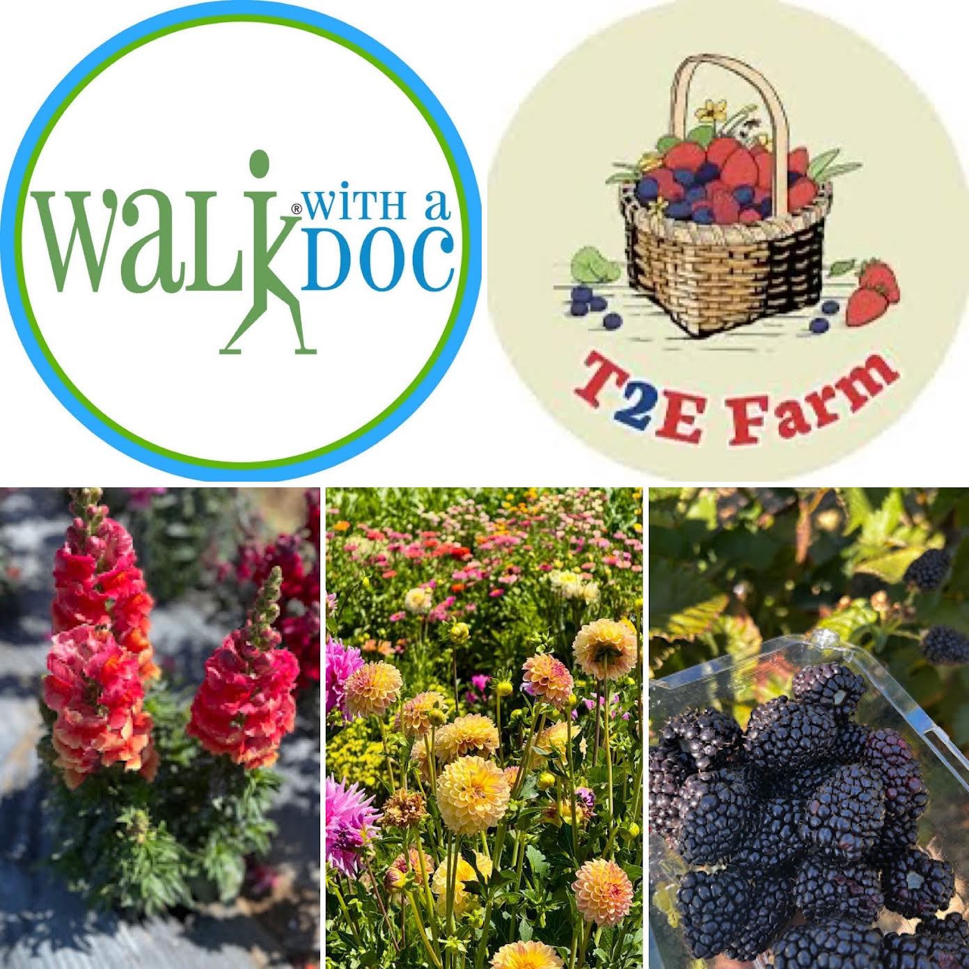 Berry & Bloom Walk with a Doc (Doctors) at Tru2Earth Farm