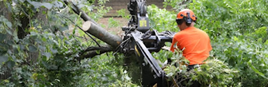 Tree Care Enterprises-Lake Geneva