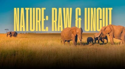 Nature Raw and Uncut: An Improvised Nature Documentary