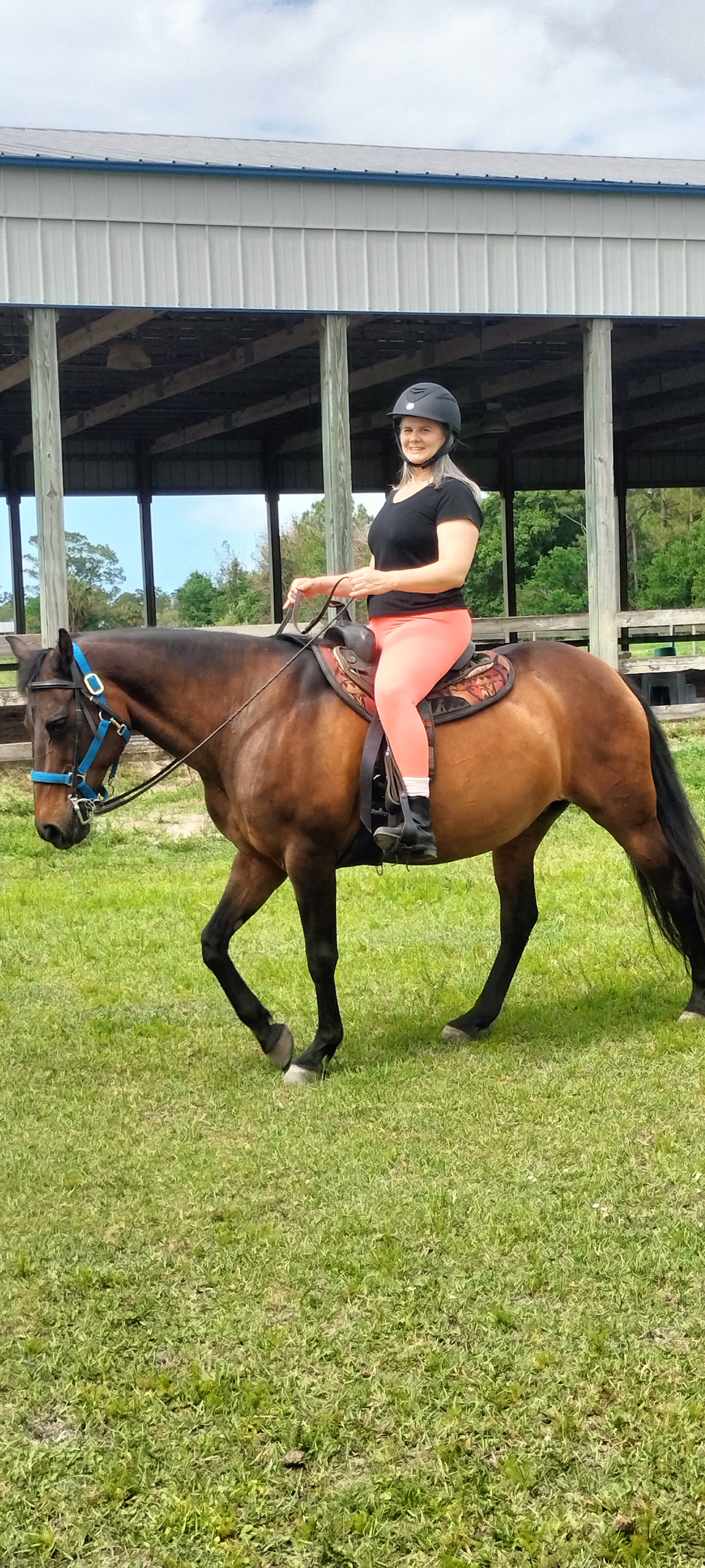 Stretch and Ride a Horse, beginner- intermediate riding