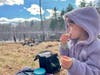 Charlotte’s picnic next to the beaver dams at Horse Hill Nature Preserve in Merrimack.