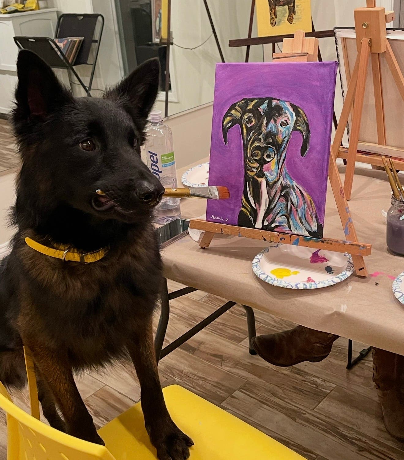 Paint for Paws with Beagle Rescue of Southern Maryland