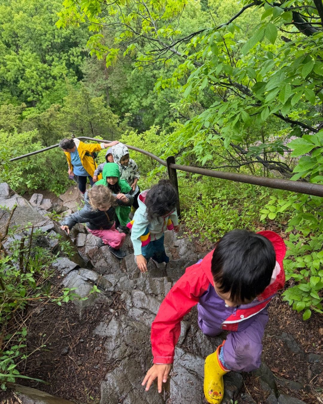 Nature, Culture & Childhood Conference