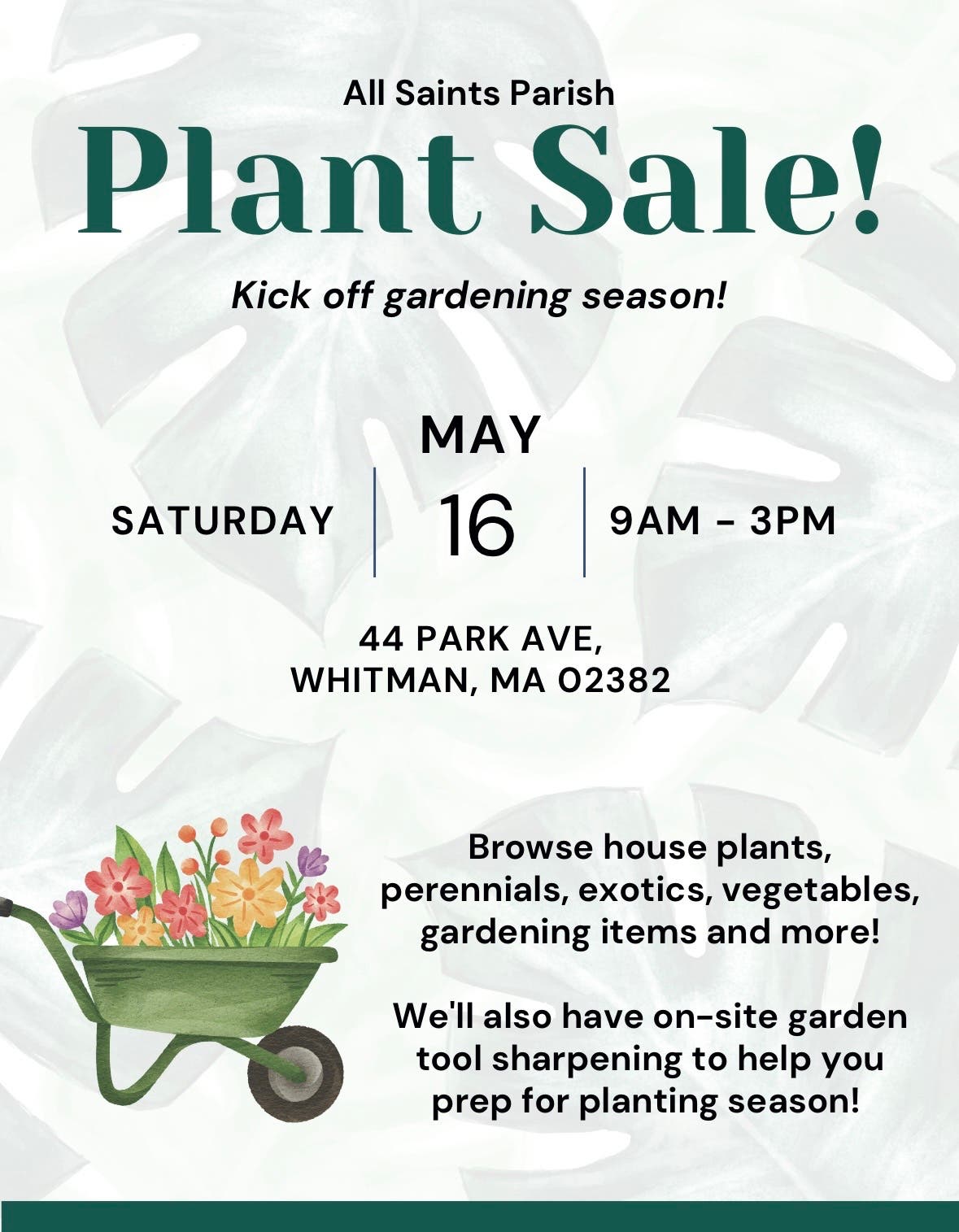 All Saints Parish Plant Sale!