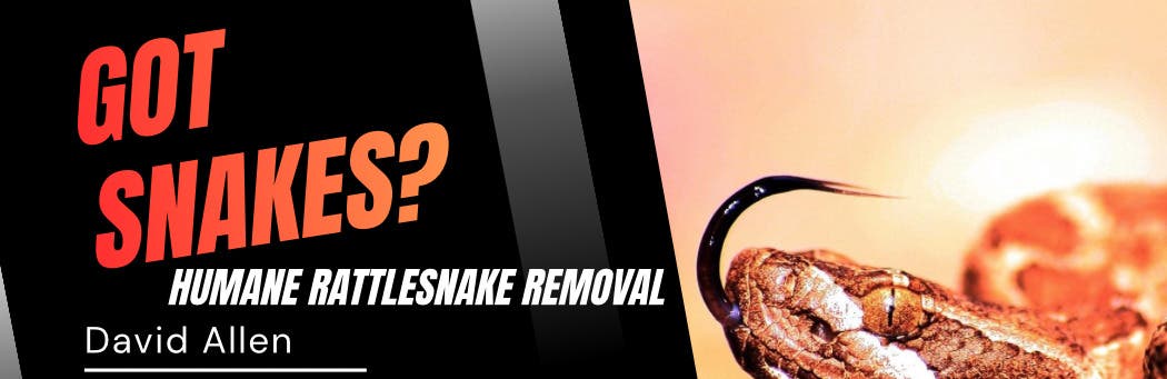 Got Snakes? Bay Area Snake Removal