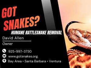 Got Snakes? Bay Area Snake Removal