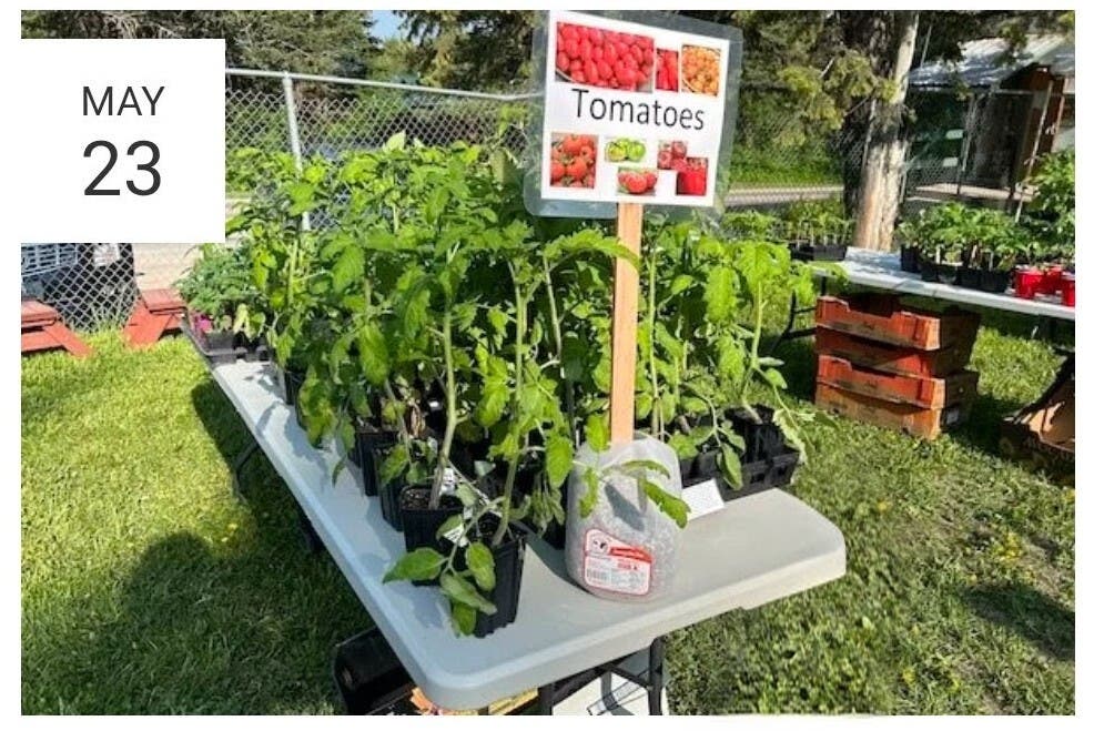 PLANT SALE at Mountain Brook Community Center