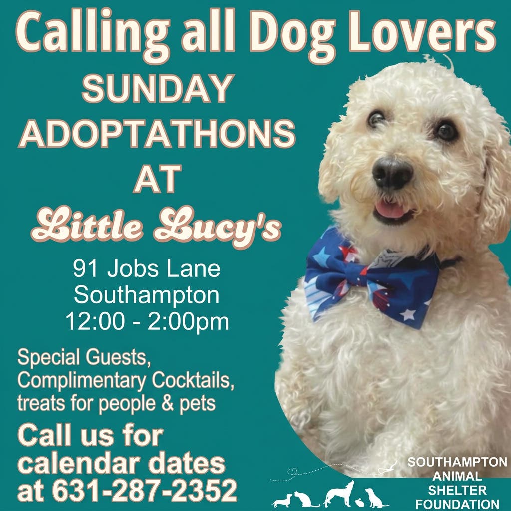 Little Lucy’s Summer Adoptathon