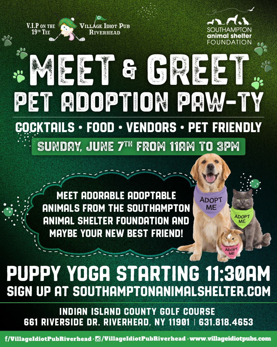 Puppy Yoga Paw-ty at Village Idiot