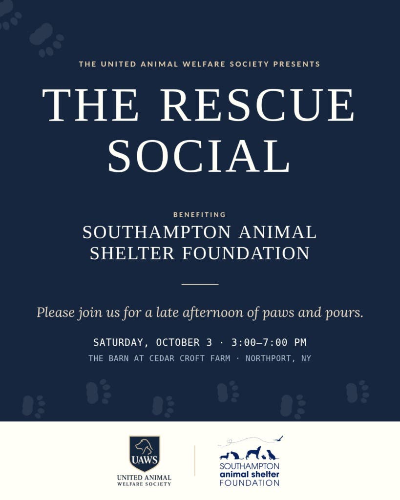 The Rescue Social