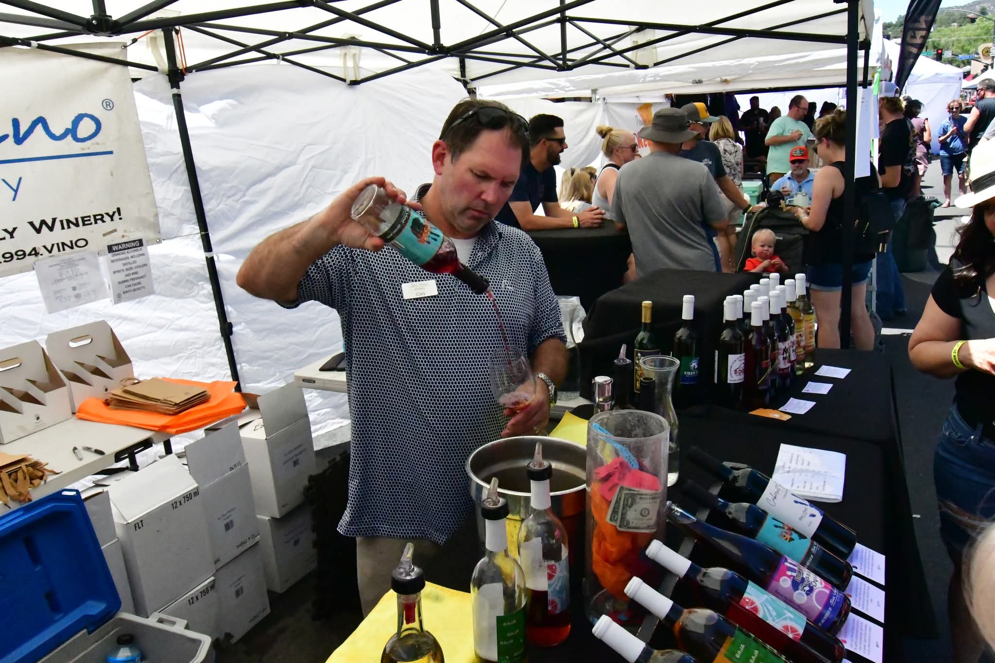 Sonoran Fine Art & Wine Festival