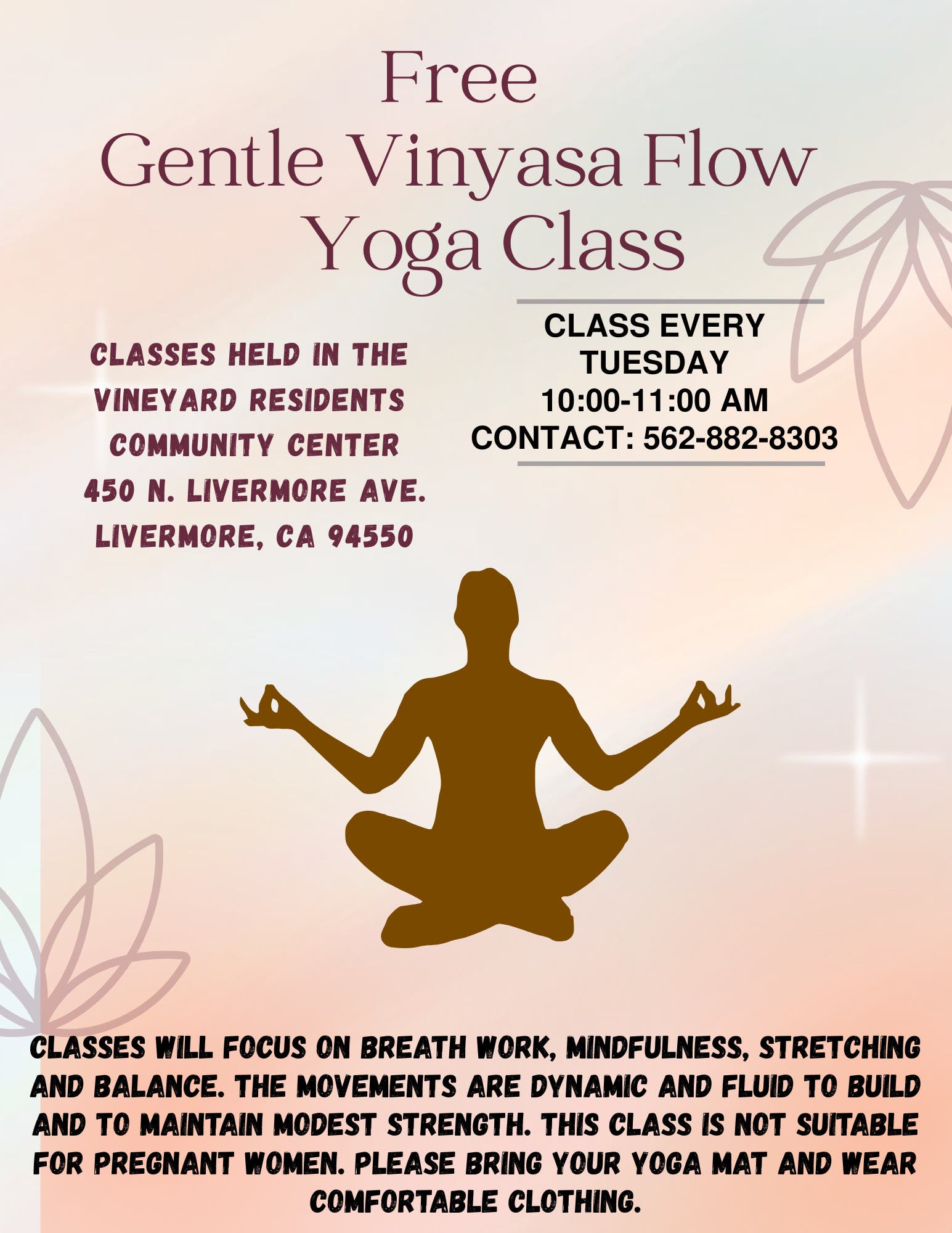 Gentle Vinyasa Flow Yoga Class