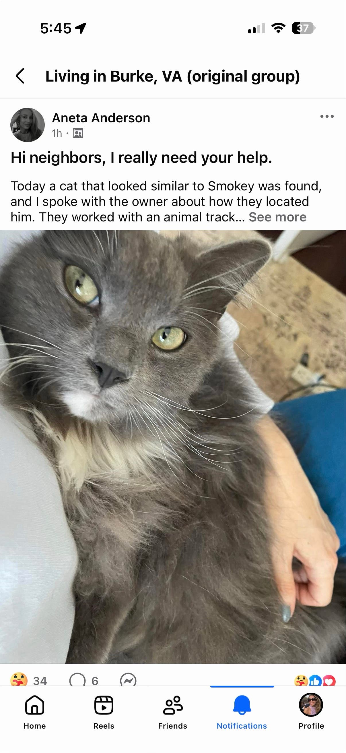 trapped cat in shed or garage