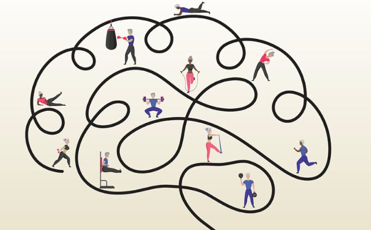 Brain Health & Fitness