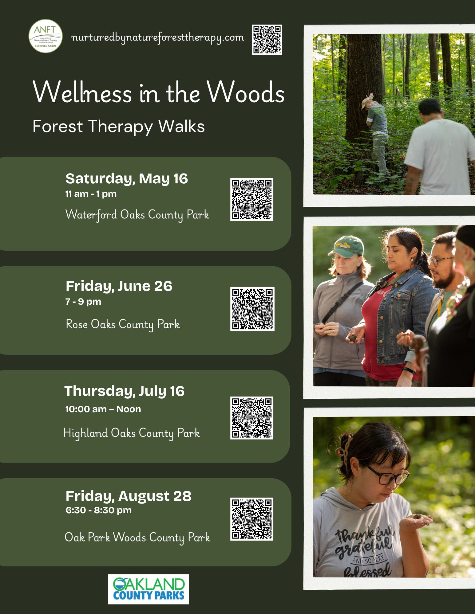 Wellness In The Woods Forest Therapy Walks