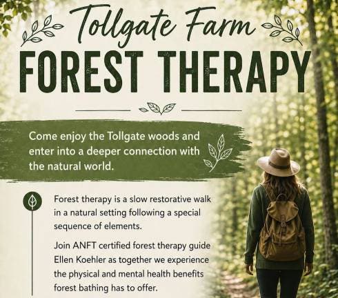 Summer Sunset Forest Therapy Walk
