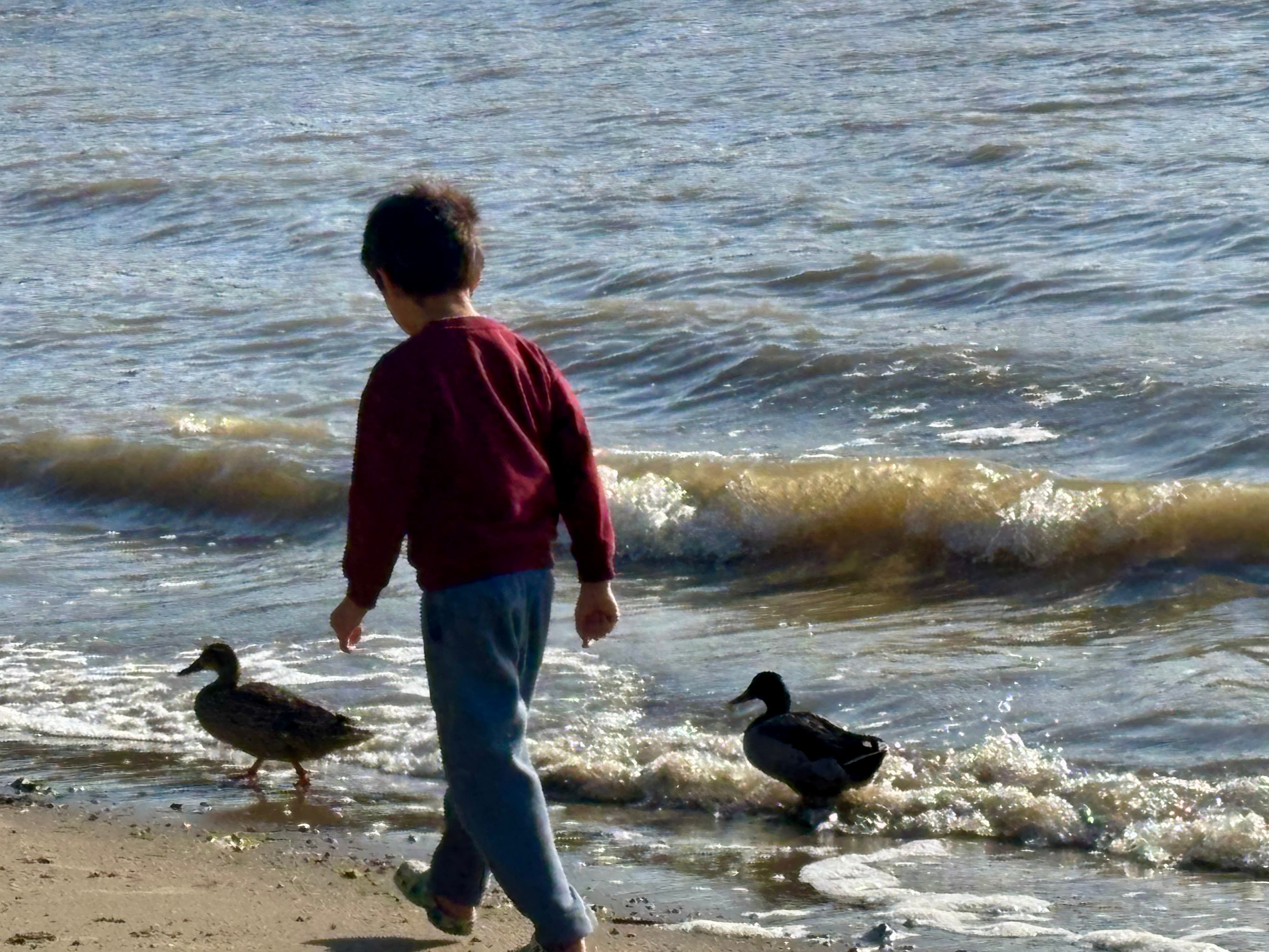 Young Bay Area Child Turns Outdoor Exploration Into Real Scientific Data