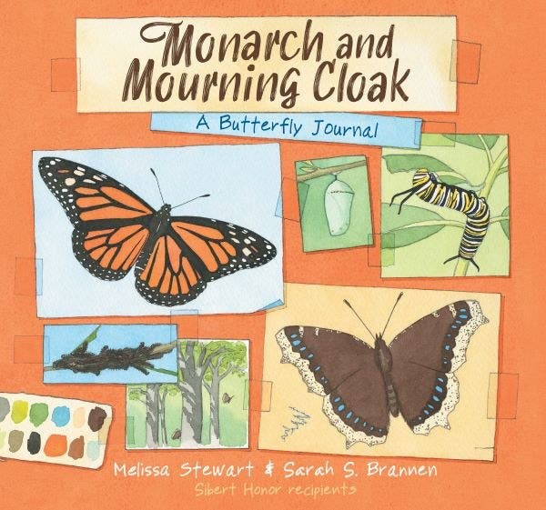 Curiosity and Creativity: A Nature Journaling Workshop with award-winning book illustrator Sarah S. 