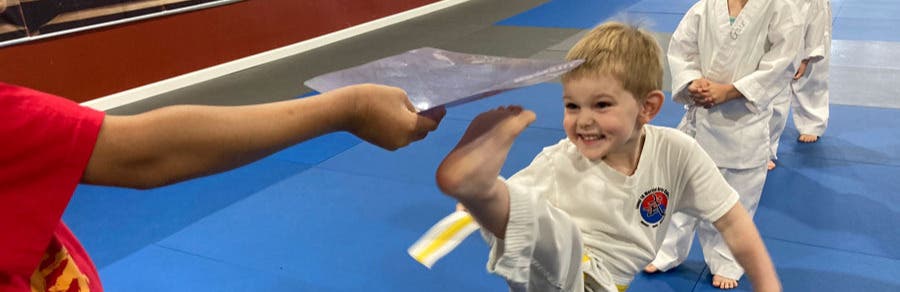 https://PalmHarborKarate.com/