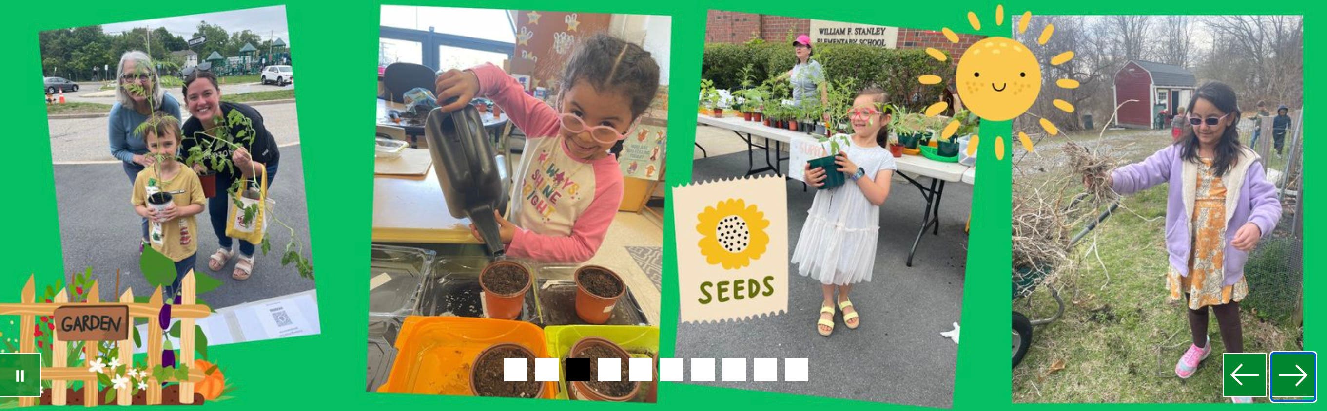 Waltham Sustainability Science Fair, a student-led event 