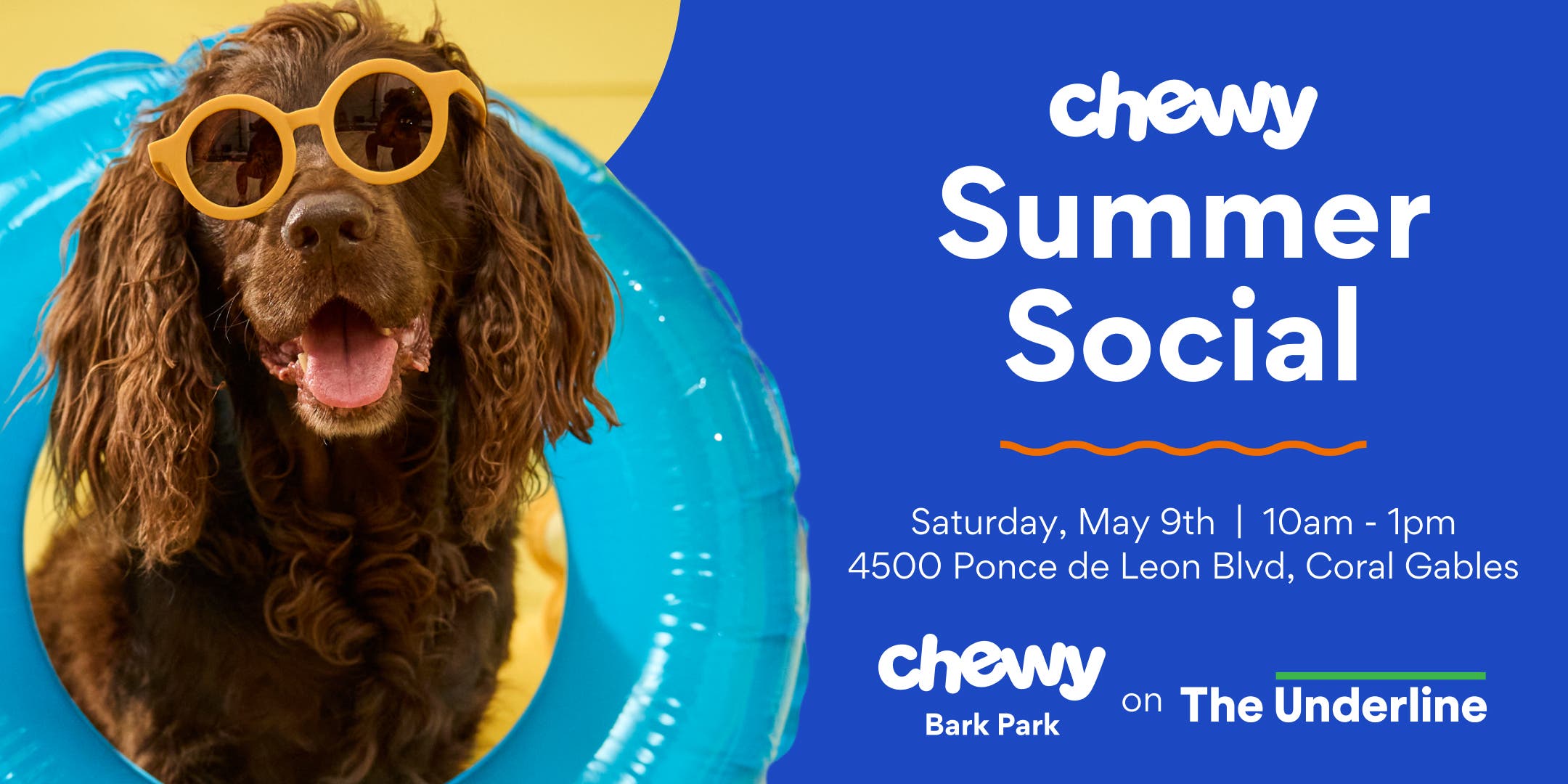 Chewy Summer Social (Giant Pool Party for Dogs!)
