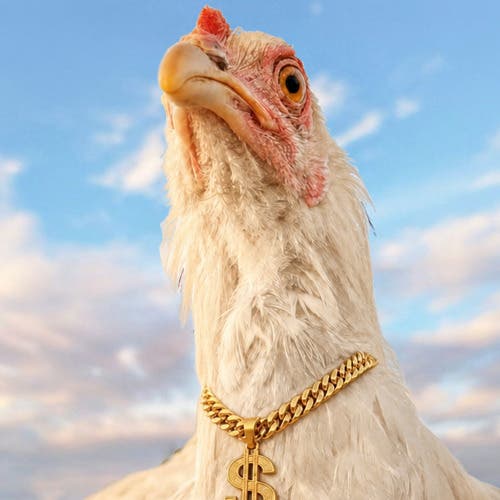 Follow the Clucking Money