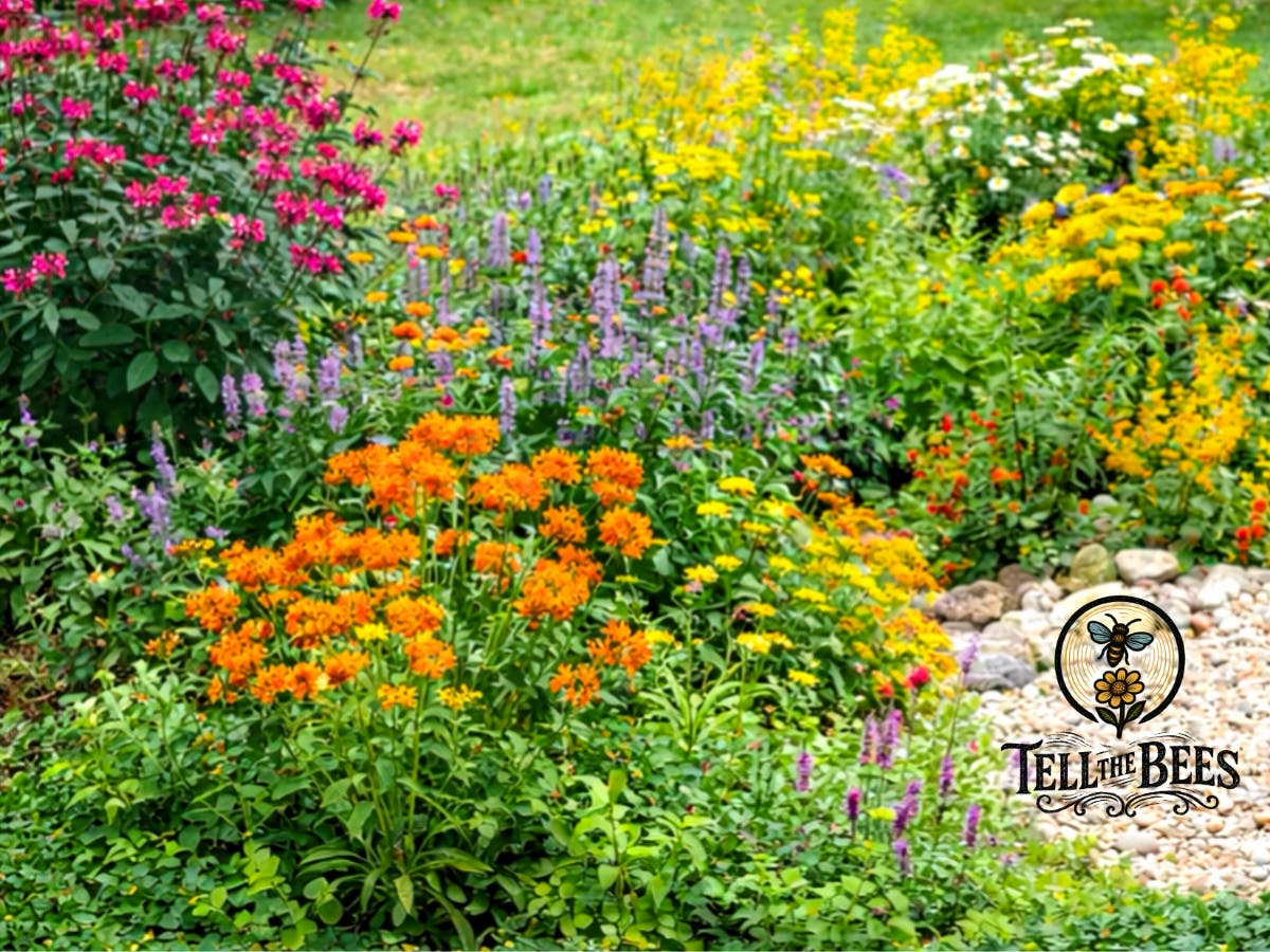 Create a Garden That Helps Pollinators—and Gives Something Back to You