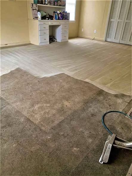 carpet cleaning