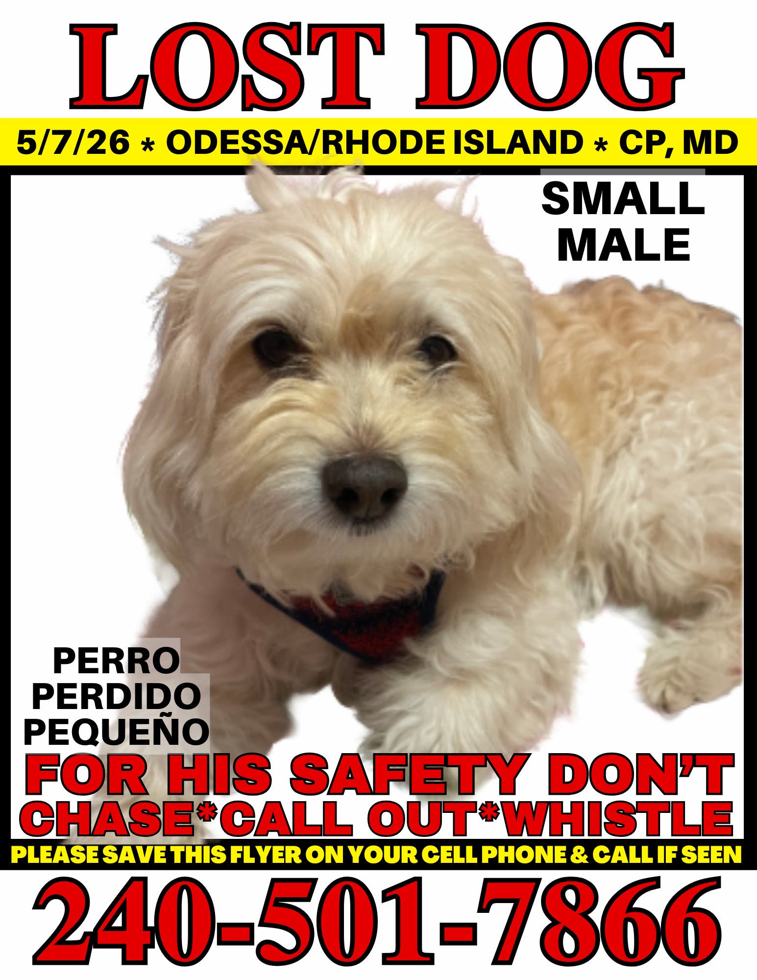Help Me Find My Dog Coco