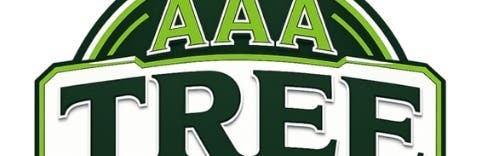 AAA TREE SERVICE NY CORP