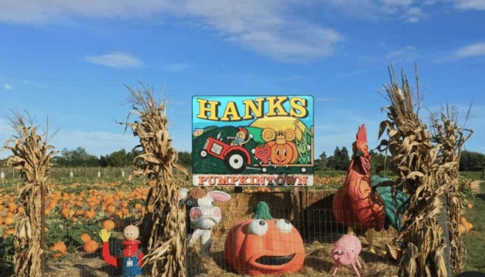 Evelyn Alexander Wildlife Rescue Center Brings Birds of Prey to Hank’s Pumpkintown